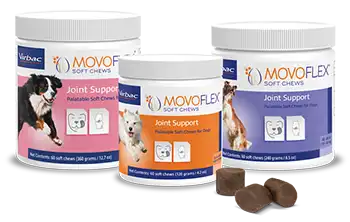 Movoflex_products_group_350x.webp