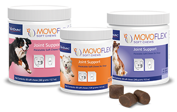 Movoflex Soft Chews, 30 pièces, Pour chiens de 15 kg à 35 kg, Complément  alimentaire pour le soutien de la santé articulaire, Pour le maintien des  structures articulaires