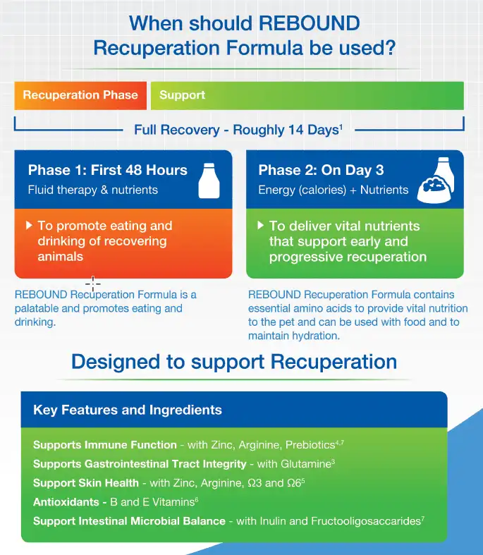 Rebound Recuperation Formula Be Used.webp