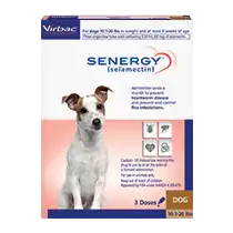 Senergy_dog_60mg.webp
