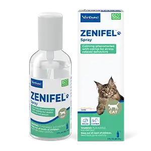 Spray-opened_Zenifel_300ox.webp