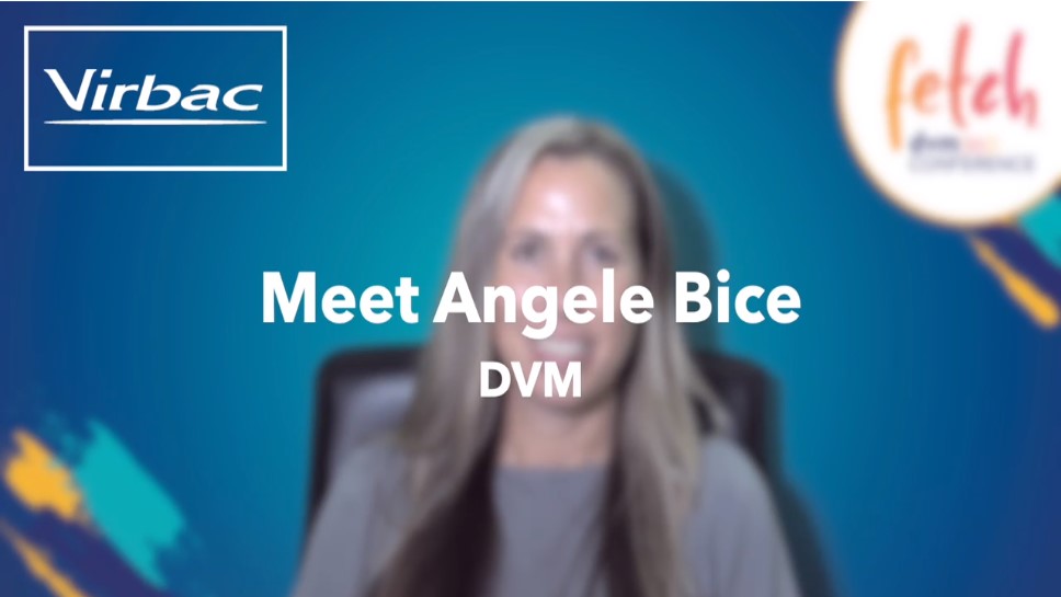 Dr. Angela Bice.jpg