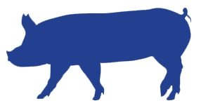 Swine-Brochure_pigs_lg.webp